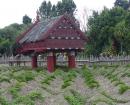 A recreation of an ancient Maori kumara garden